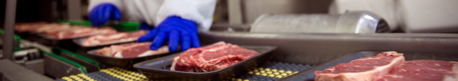 food production worker with blue gloves