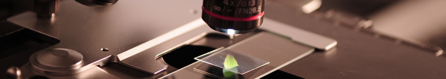 Banner for Balances for Bio pharmaceutical Applications cannabisbanner.jpeg