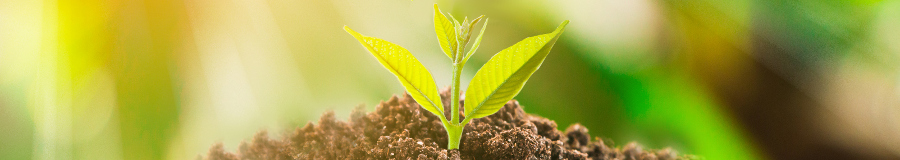 Moisture and Compost Banner