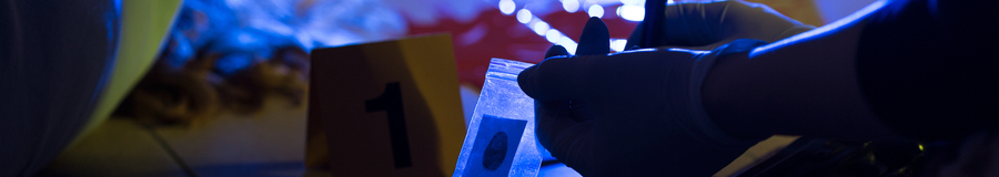 Banner for Forensics and Balances