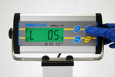 Weight Input Display