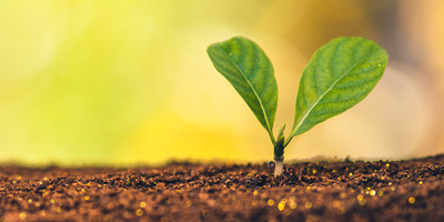 From Seed to Soil: Why Moisture Analysis Matters in Agriculture