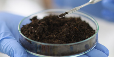 5 Tips for Sample Preparation Before Laboratory Weighing