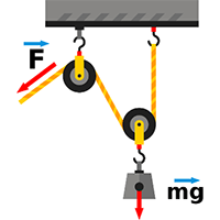 The Differences Between Mass and Weight