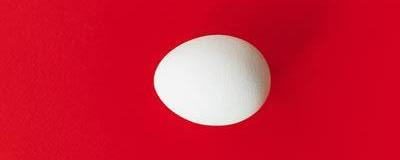 An Osmosis Eggsperiment - Egg Observation