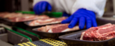 Weighing Food Safely: Why Adam Scales Have Blue Feet