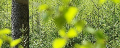 Eight Tips for Using Balances and Scales on the Field 