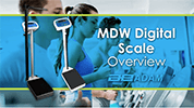 Overview: MDW Physicians Scale