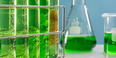 Best Practices for Sustainable Weighing in Your Laboratory