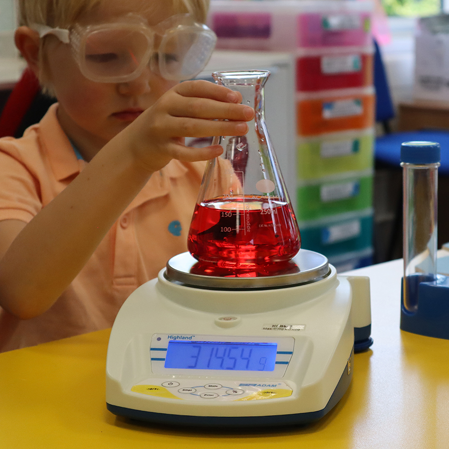 education weighing scales