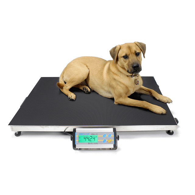 Large vet scale