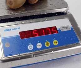 Sealed Keypad waterproof scales sealed keypad