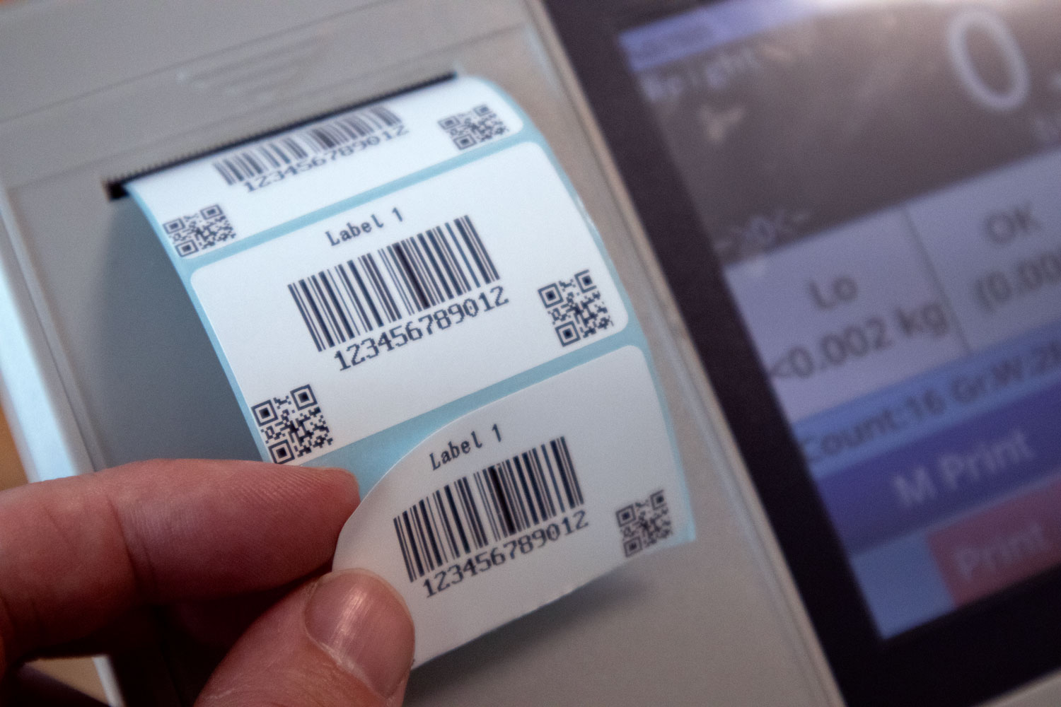 Equinox analytical balances feet